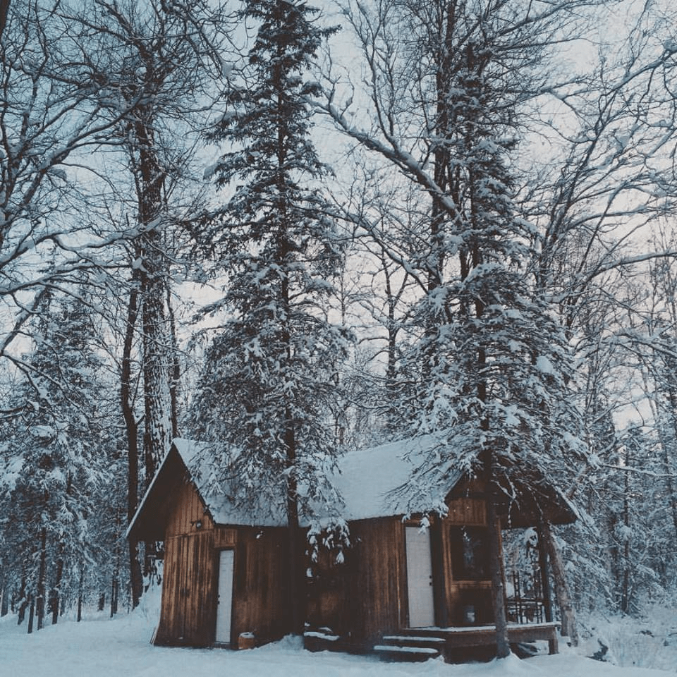 Alaska Tiny Home Architecture
